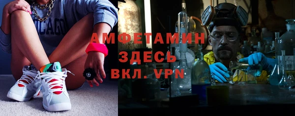 индика Белокуриха