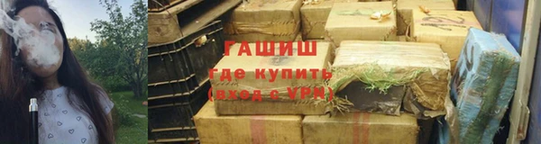 индика Белокуриха