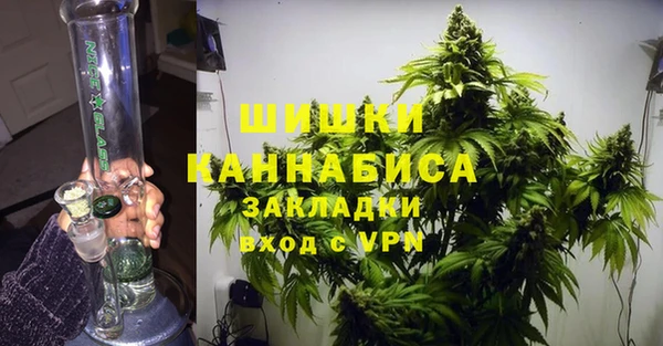 ПСИЛОЦИБИНОВЫЕ ГРИБЫ Белоозёрский