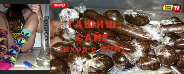 индика Белокуриха