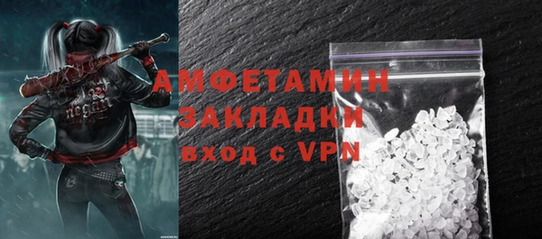 индика Белокуриха