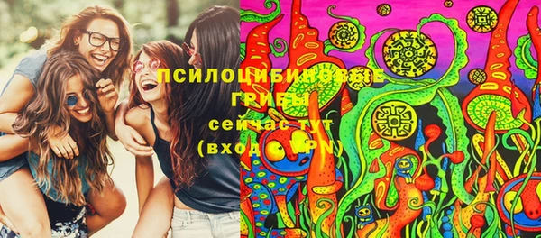 ПСИЛОЦИБИНОВЫЕ ГРИБЫ Белоозёрский