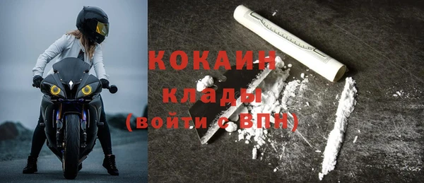 индика Белокуриха