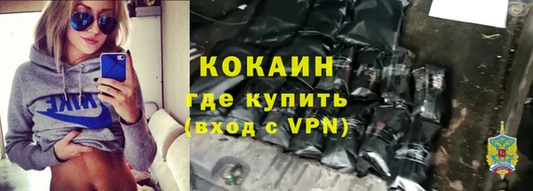 индика Белокуриха